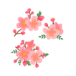 矢量水墨粉色腊梅花朵