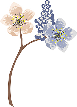 多彩线条花枝