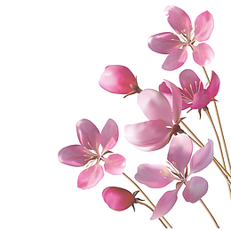 春上新灿烂花枝背景矢量图