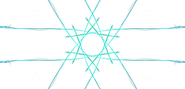 六芒花 花 星光 六角