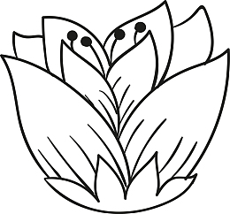 矢量手绘线条花朵图