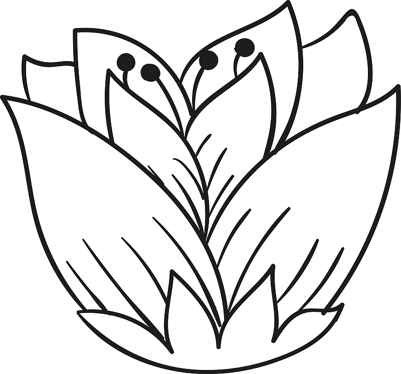 矢量手绘线条花朵图
