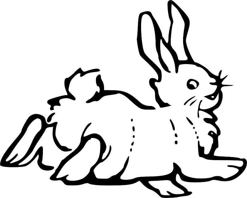 矢量手绘兔子