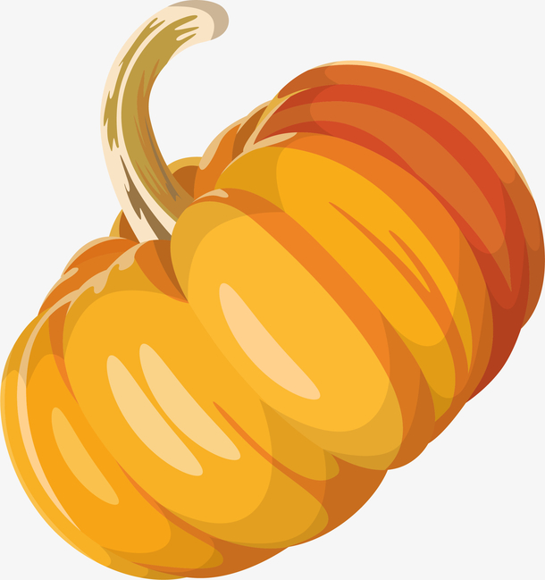 南瓜png矢量素材