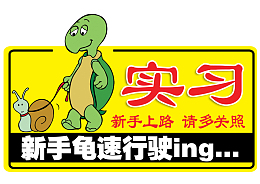 乌龟实习牌