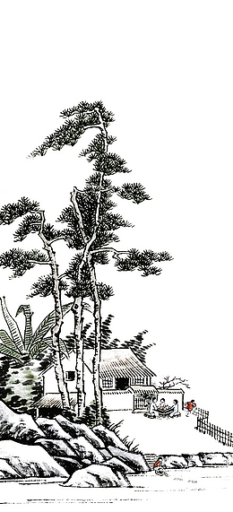 黑色松树