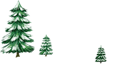 三棵冬天的松树