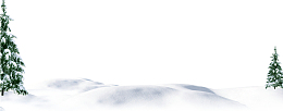 雪地上的松树