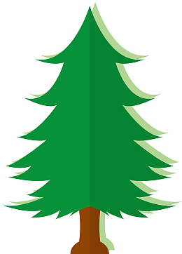 对称的矢量立体雪松