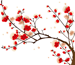 红色和白色的梅花