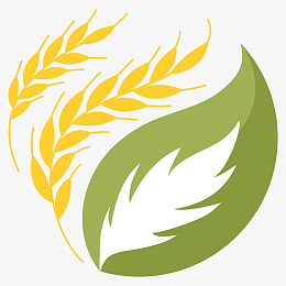 麦穗图标免抠png