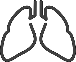 免抠免费肺部矢量