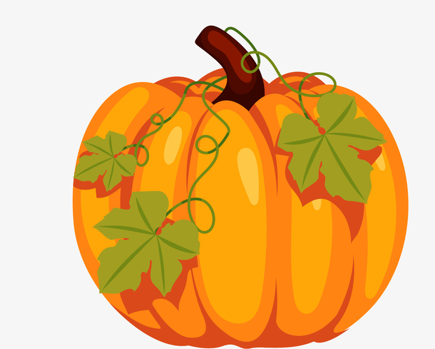 矢量南瓜