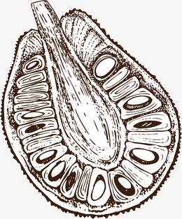 卡通手绘灰色的菠萝蜜