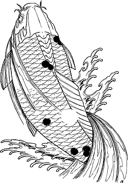 锦鲤海洋生物素材图