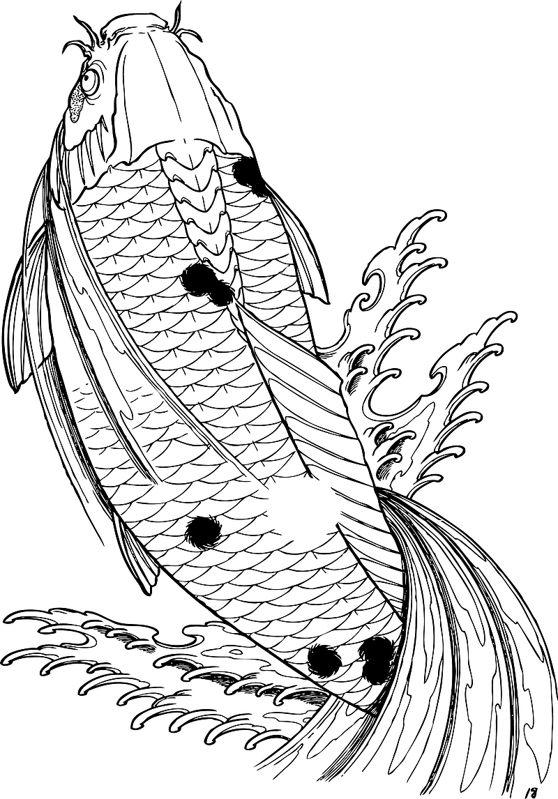 锦鲤海洋生物素材图