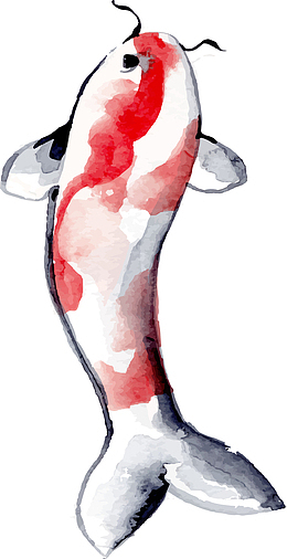 创意彩色鲤鱼素材图