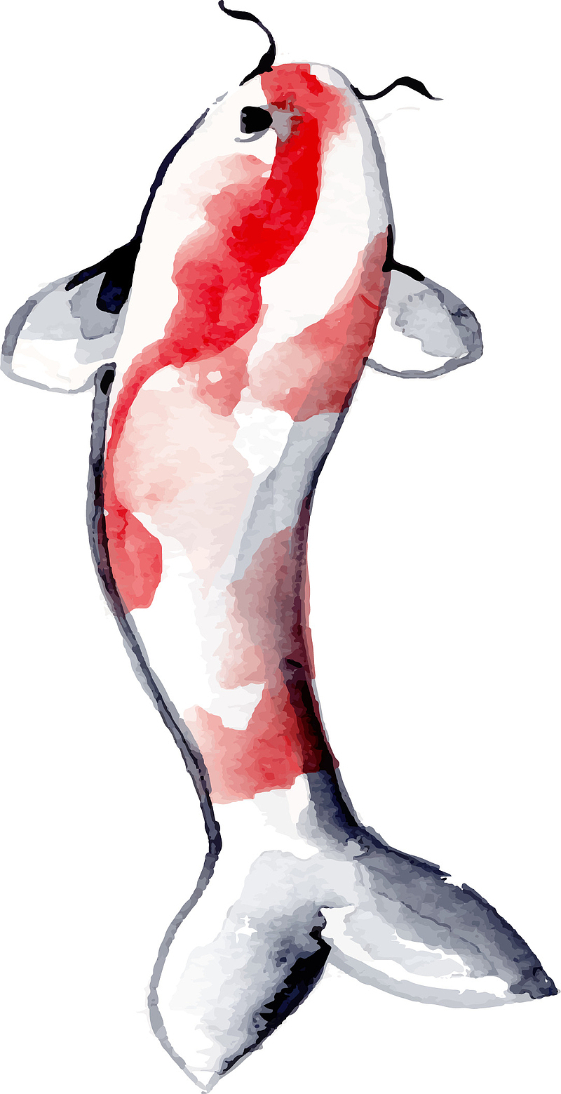 创意彩色鲤鱼素材图