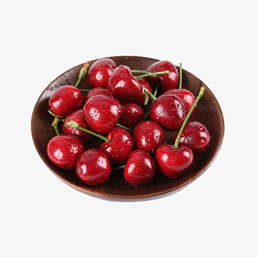 一碟新鲜的车子里设计