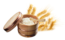 世界粮食日珍惜粮食