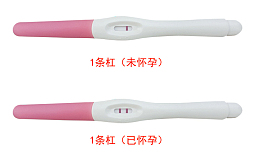 验孕棒检测结果对照图