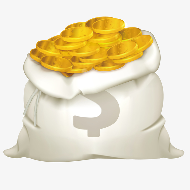 装满金币的袋子