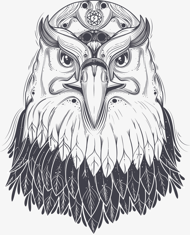 关键词 : 矢量,手绘,神秘,图腾,鹰,插图,tatoo,纹身,印花[声明] 觅