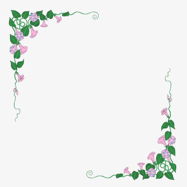 手绘牵牛花花边装饰