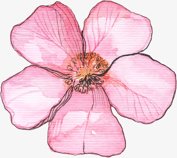 关键词 : 一片,花朵,花瓣,花蕊,粉色,手绘,简图,卡通[声明] 觅元素