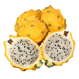 营养健康养颜燕窝果