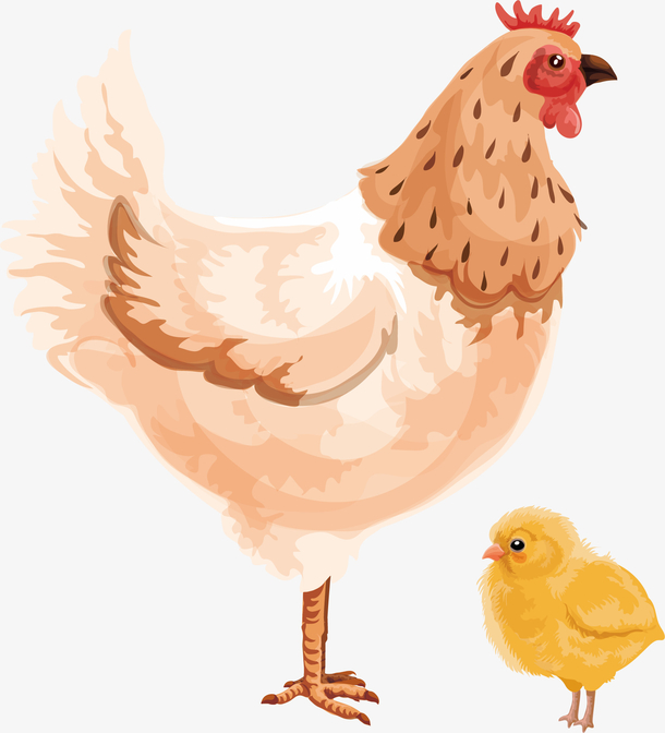 矢量手绘小鸡一家漫画