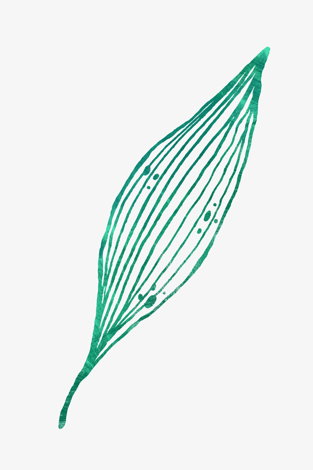 关键词 : 手绘,叶子,树叶,绿色[声明] 觅元素所有素材为用户免费分享