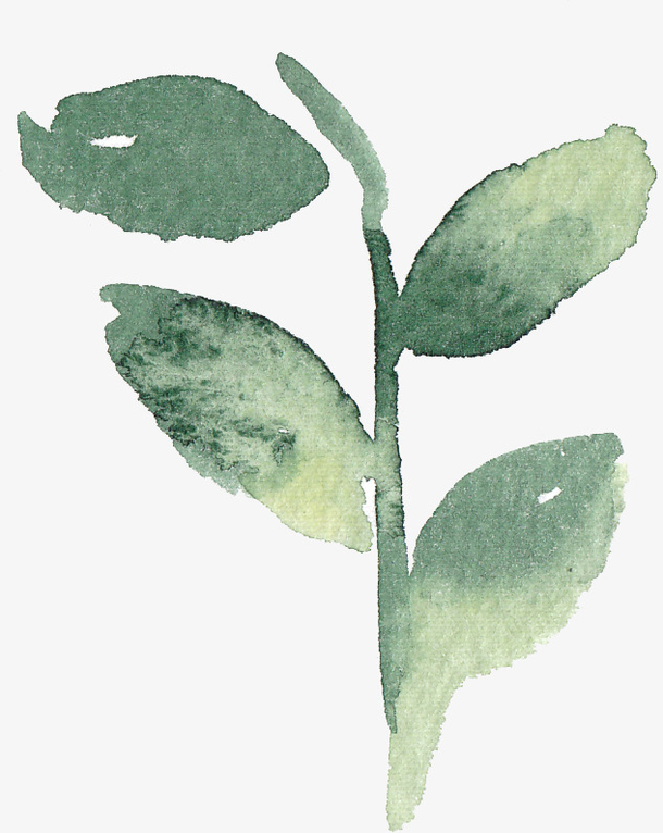 关键词 : 手绘,叶子,树叶,绿色[声明] 觅元素所有素材为用户免费分享