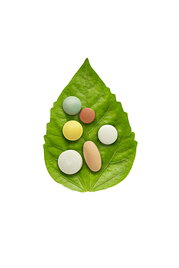 治愈绿色叶子里的西药片实物
