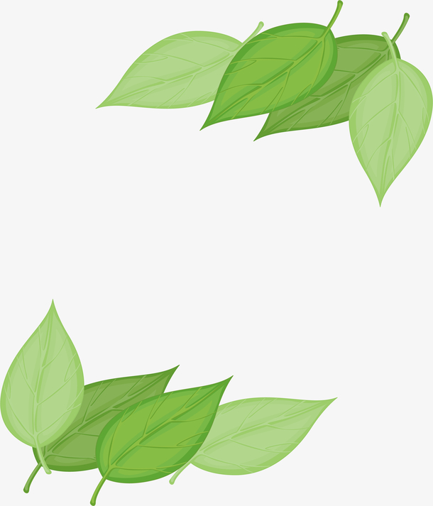 精美树叶标题框