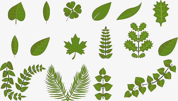 手绘扁平化植物素材_手绘扁平化植物图片元素-觅元素