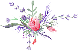 美丽的花儿PNG下载