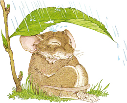 老鼠躲雨