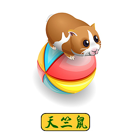 手绘天竺鼠