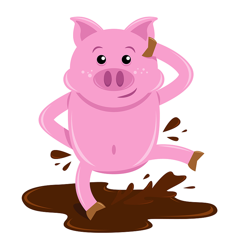 可爱小猪在泥巴里玩挂历设计海报