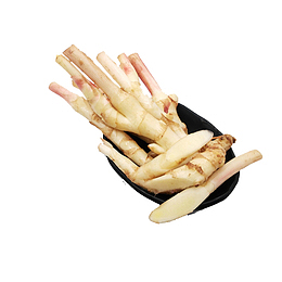 一碟嫩姜设计素材