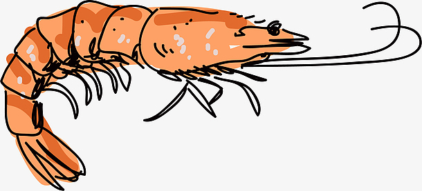 手绘虾子素材_手绘虾子图片元素-觅元素