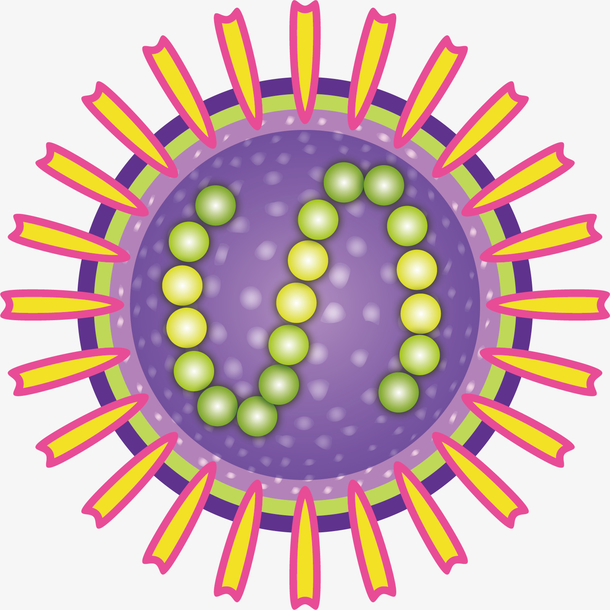 关键词 : 矢量图,细菌,水彩,卡通,手绘,设计,创意,生物,结构,细胞