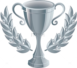 银色的漂亮的奖杯