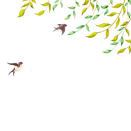 彩铅画柳条柳枝小燕子