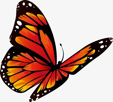 翅膀夏蝉png水彩手绘飞蛾png红色矢量蝴蝶png图png矢量美丽蝴蝶png