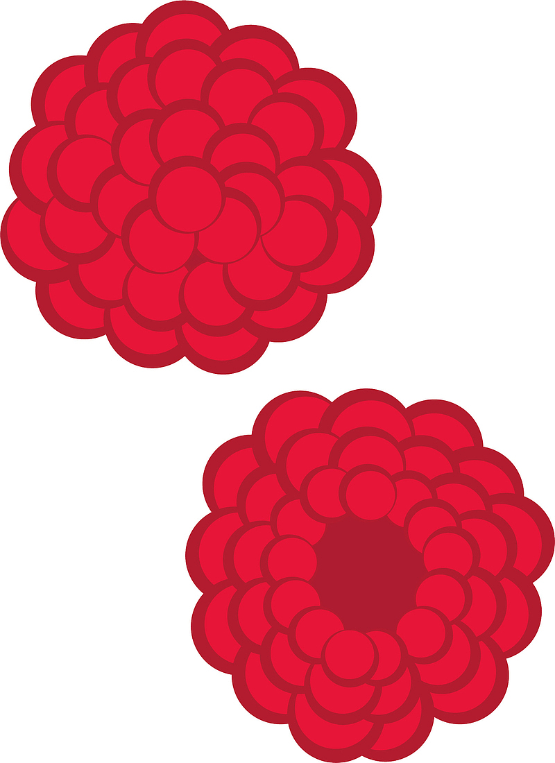矢量图鲜艳的红色花花