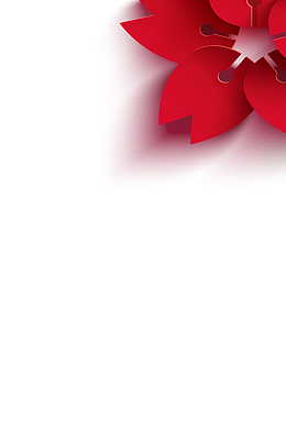 2019元旦新年红色喜庆大红花边角