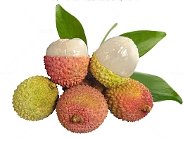 新鲜妃子笑荔枝特写