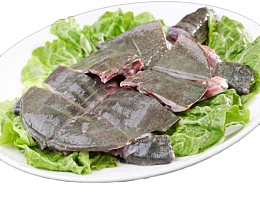 新鲜甲鱼美味佳肴
